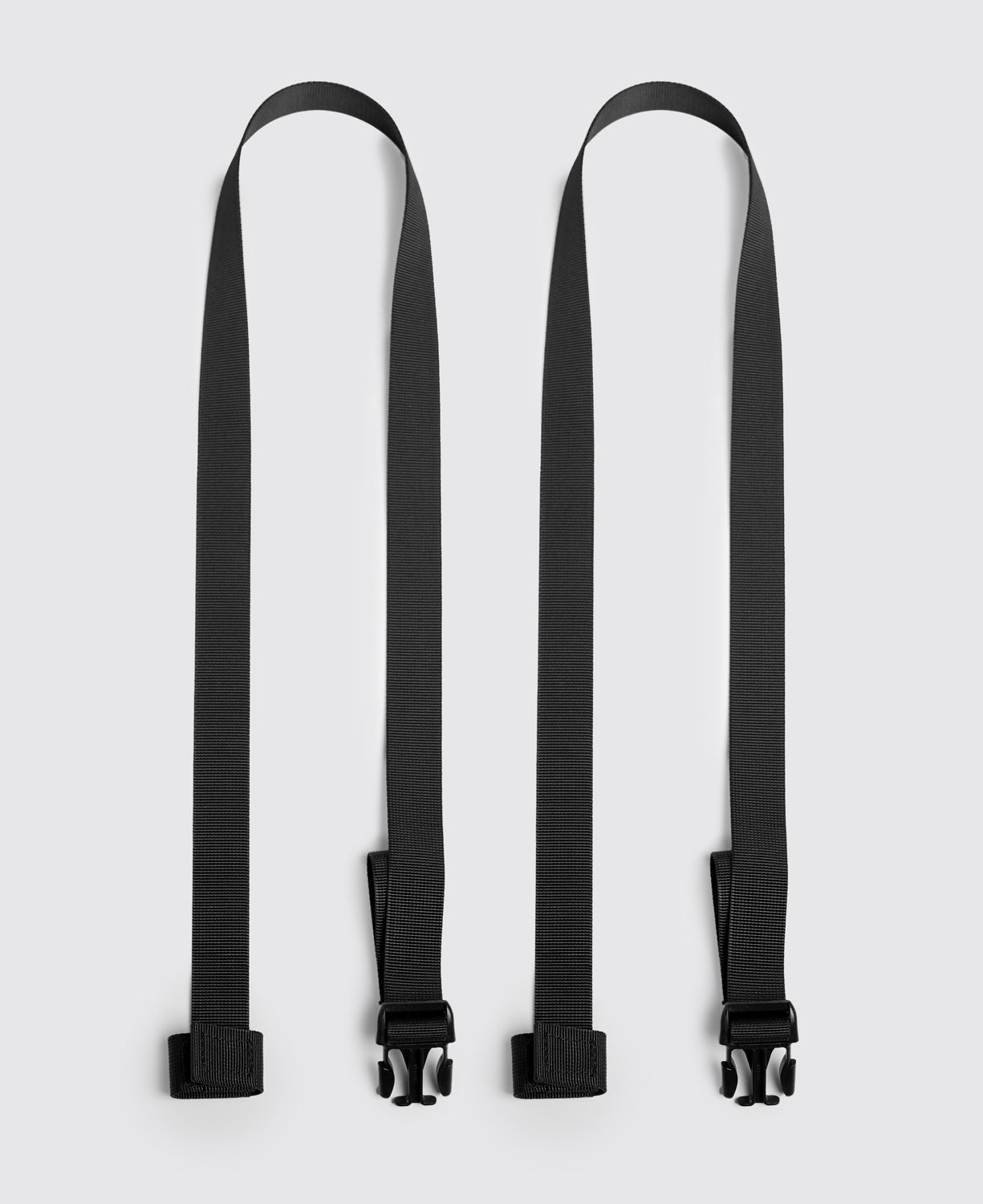 TerraExplorer 行李固定帶(2入）