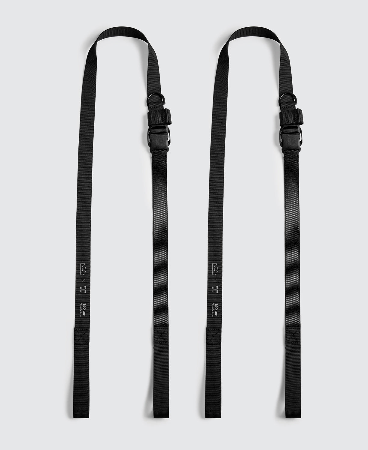 TerraExplorer 行李固定帶(2入）