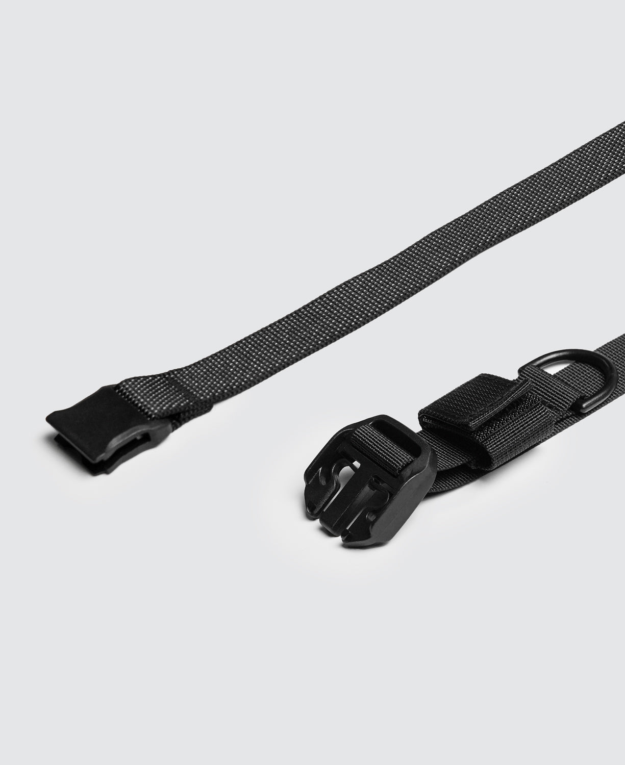 TerraExplorer 行李固定帶(2入）